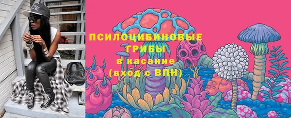 a pvp Богородицк