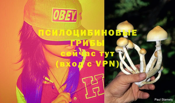 a pvp Богородицк
