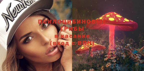 героин Богданович