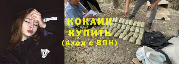 a pvp Богородицк