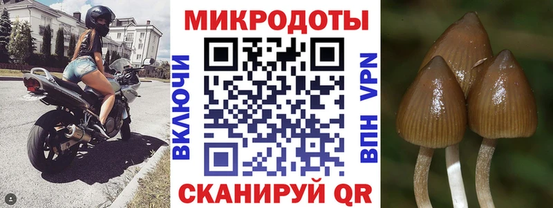 где купить наркоту  Наро-Фоминск  сайты даркнета наркотические препараты  Псилоцибиновые грибы MAGIC MUSHROOMS 