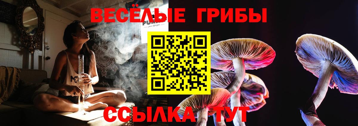 Псилоцибиновые грибы прущие грибы Наро-Фоминск